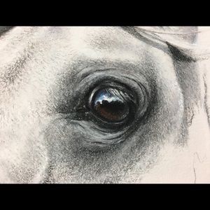 Meet your Posher, Roberta